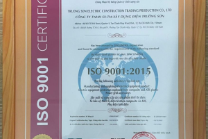 Lý Do Các Doanh Nghiệp Lớn Chọn Nhà Cung Cấp Tủ Điện Trường Sơn